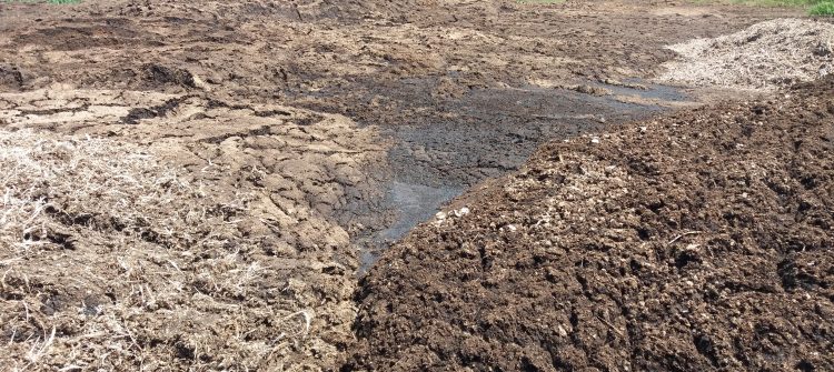 Зелено Движение във Велико Търново се бори с нерегламентирано замърсяване с тор