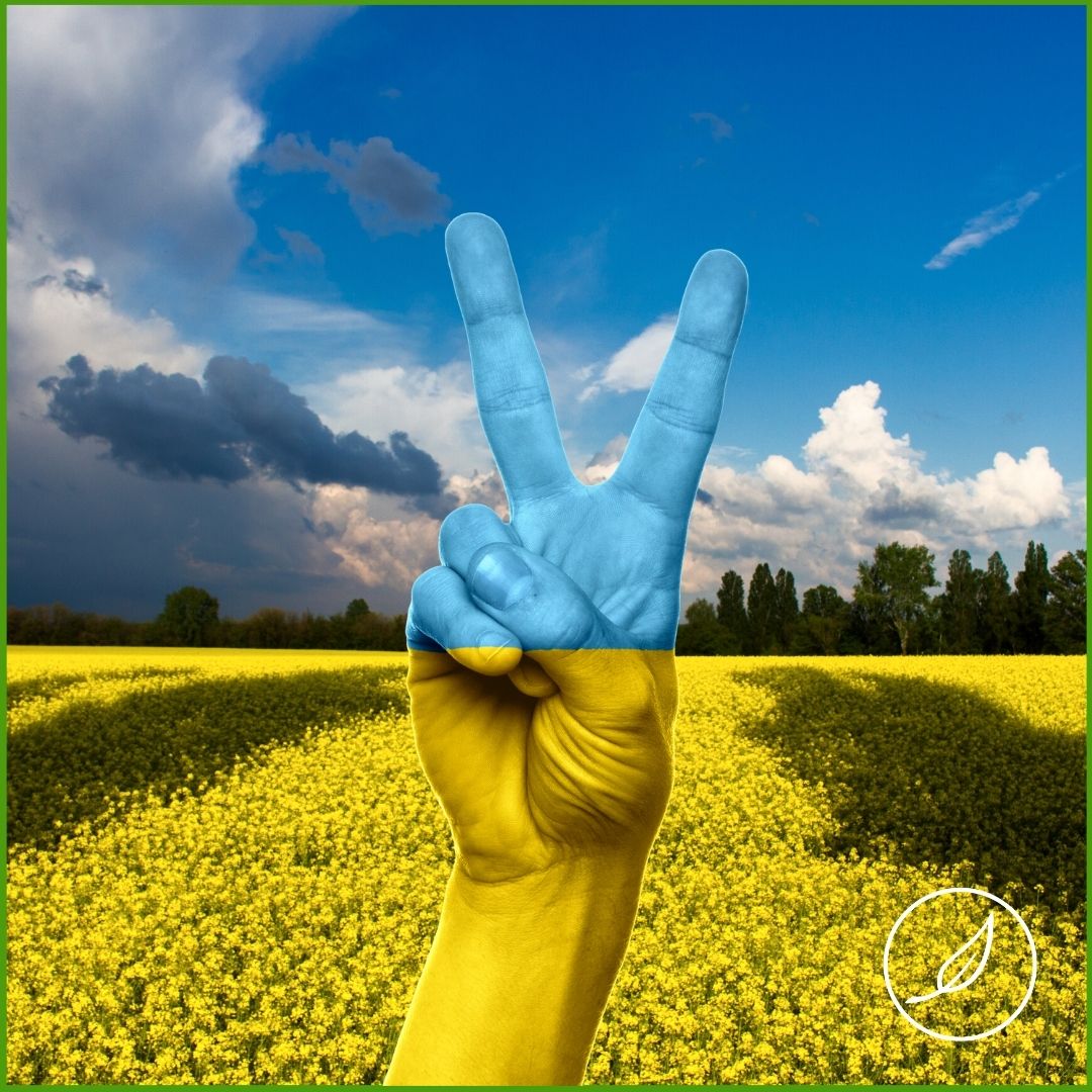Декларация на НС на Зелено движение относно конфликта в Украйна